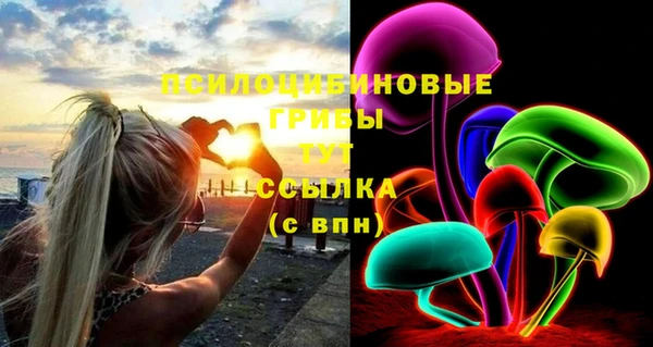 винт Вяземский