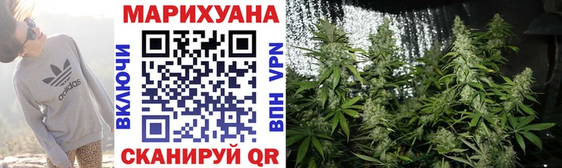 Конопля White Widow  где найти наркотики  Ставрополь 